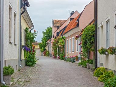 Ефекти на пазара на труда от зеления преход в Готланд, Швеция