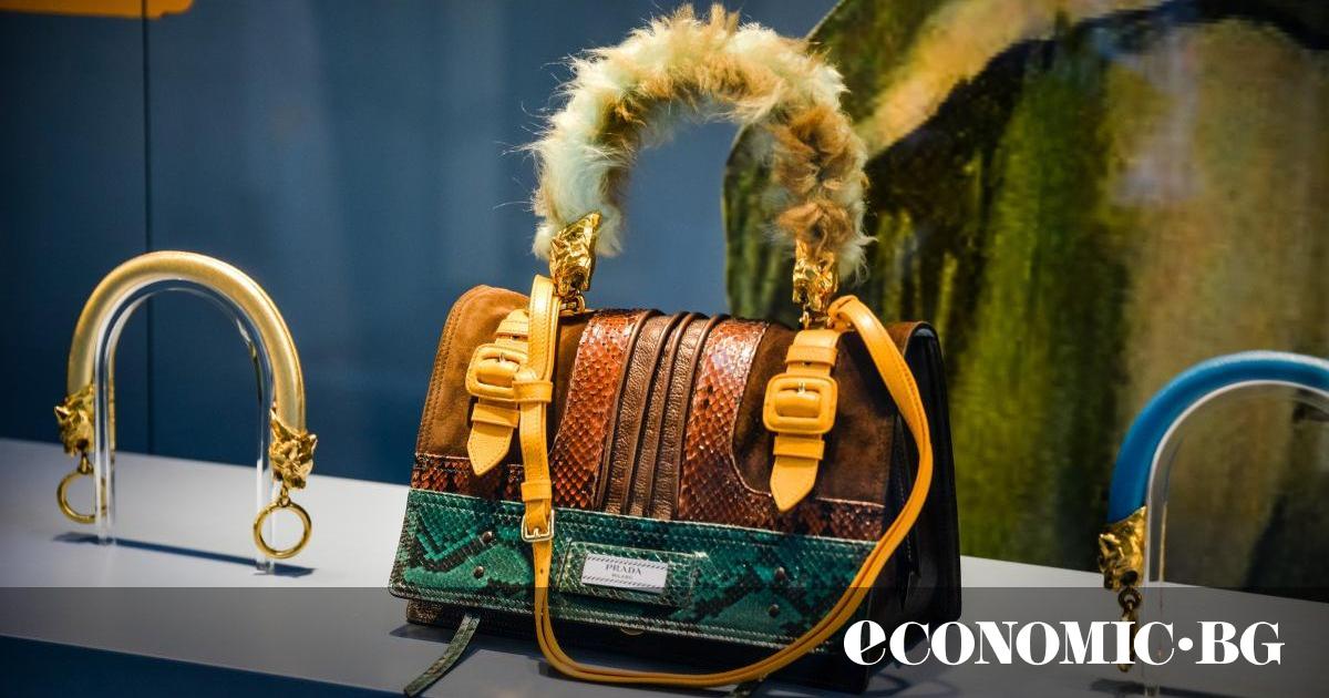 Миуча Прада, наричана просто Миу от роднините си, изгражда стратегията