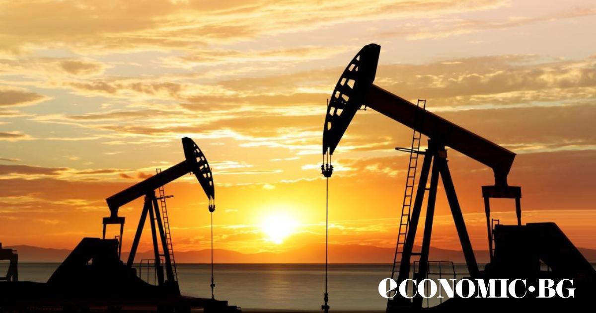 Страните членки на ОПЕК+ са се съгласили да отложат плановете