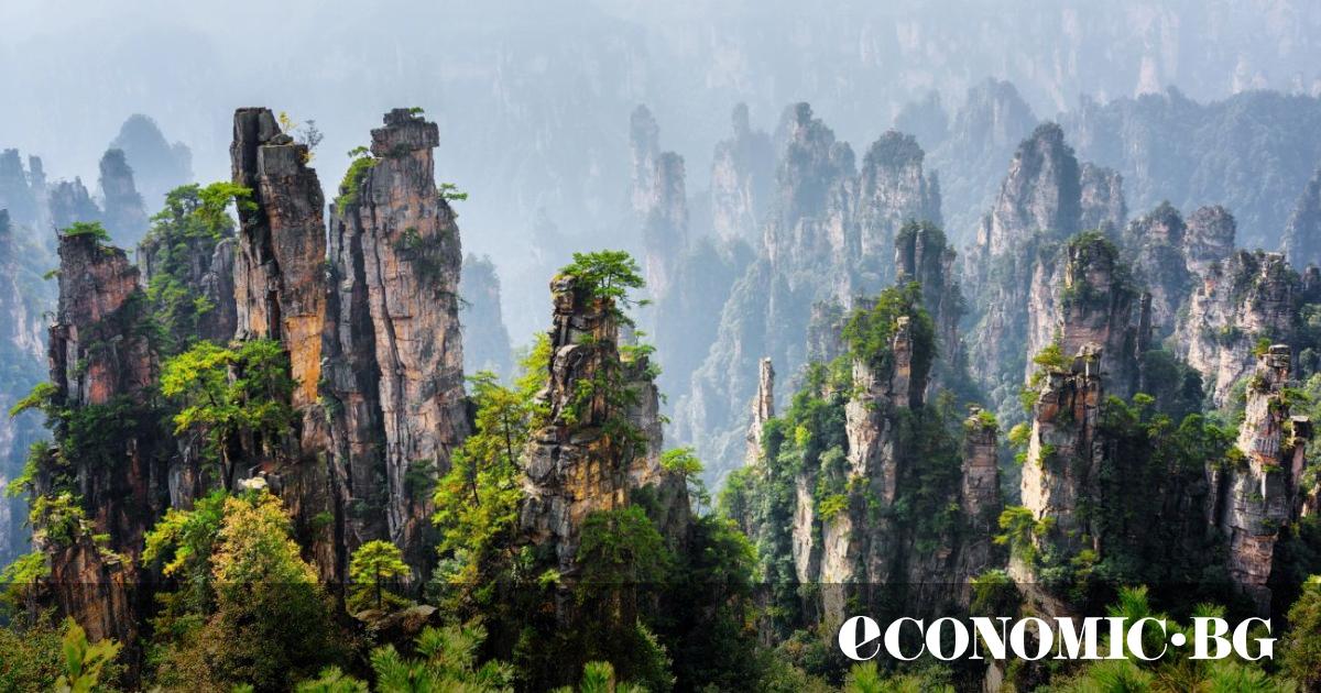 Шай не беше нетърпелив човек, но дори тя се бореше