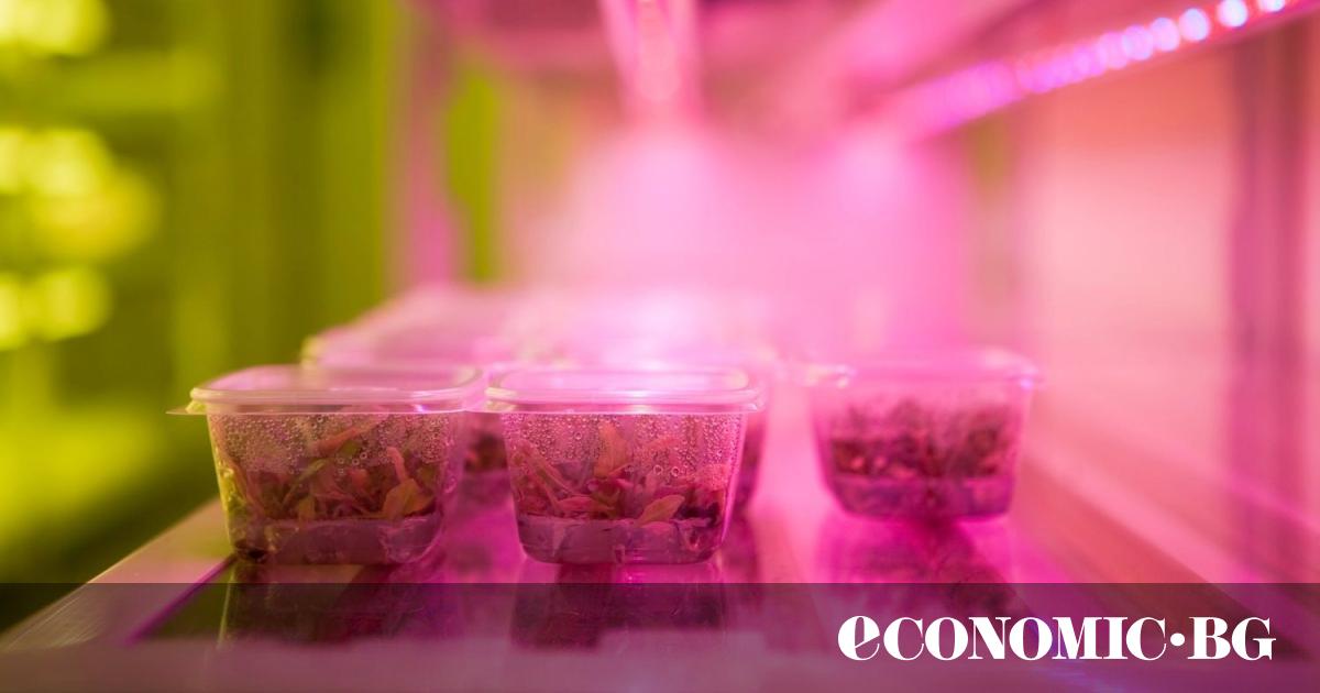 От 1 януари 2025 г. кутиите за храна (със и