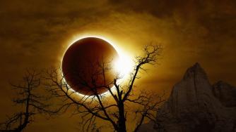 Най-големите постижения на науката през 2024 г.