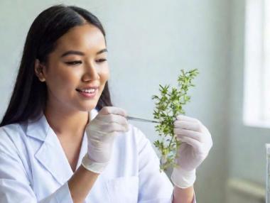 Научно доказани методи за повече щастие през 2025 г.