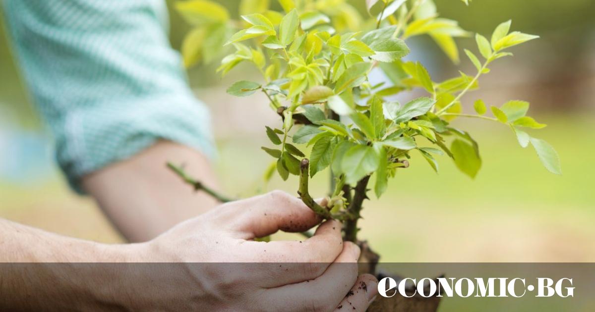 Ежегодно състезание, провеждащо се в продължение на няколко месеца в