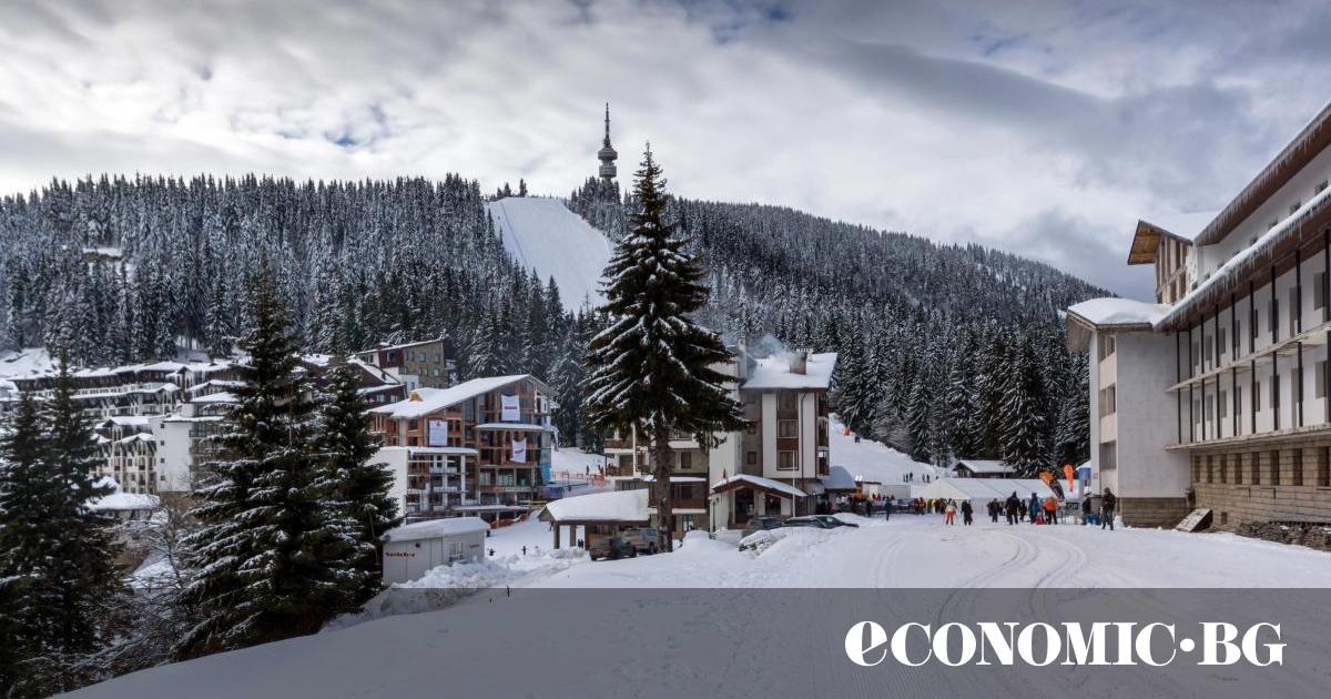 Предпоследният месец от 2024 г. дава доста положителни сигнали за