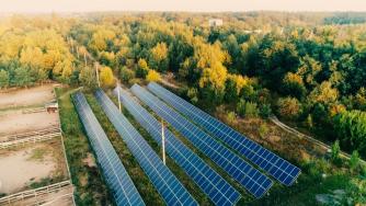 Слънцето надмина въглищата като енергиен източник в ЕС