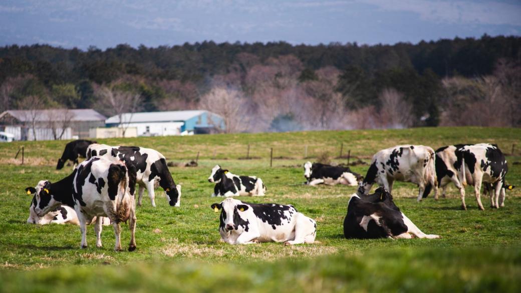 Carbon credits are an additional income opportunity for farmers