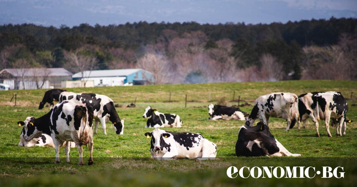 Въглеродните кредити се превърнаха в ключов инструмент в борбата с