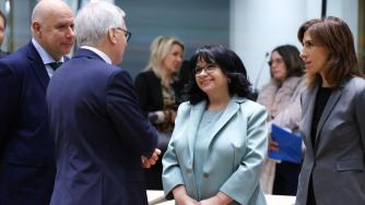 България ще поиска извънреден доклад за еврото до края на февруари