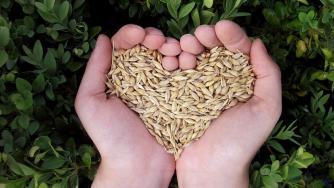 Още за храната и семената