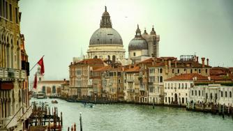 Древната гора, която поддържа Венеция над водата