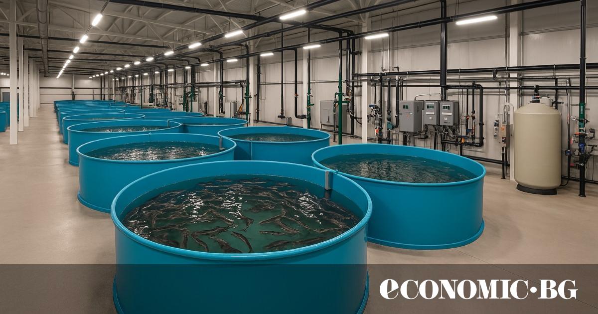 Компанията Рибно стопанство Видин“ ЕООД планира да изгради нова, модерна