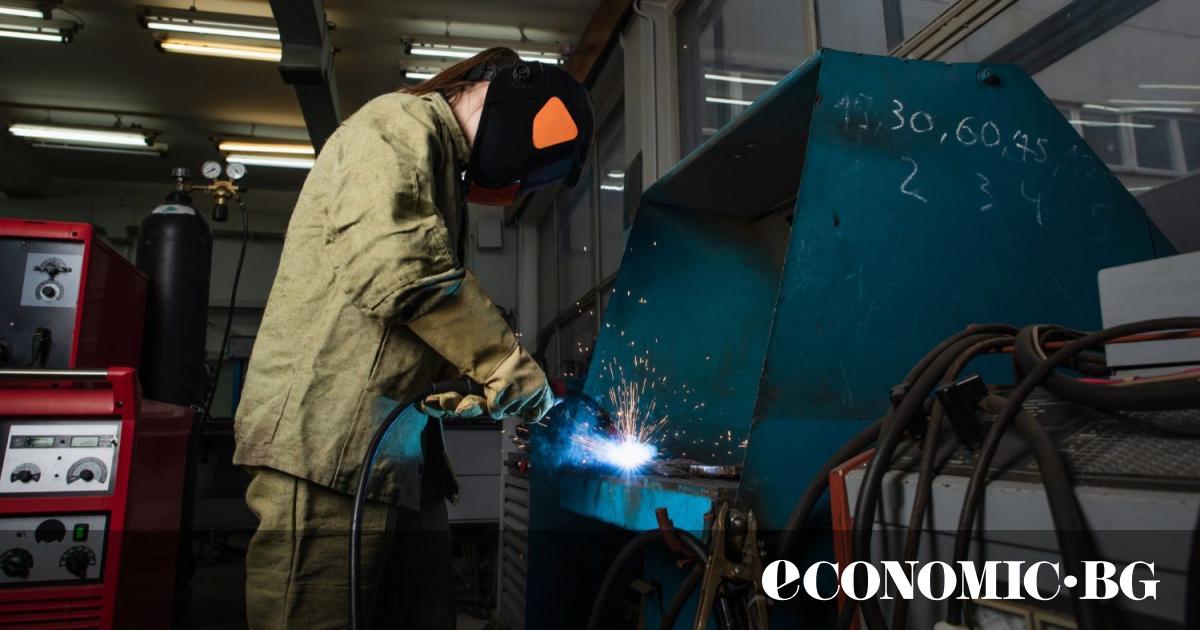 Близо една трета от българските фирми са на мнение, че