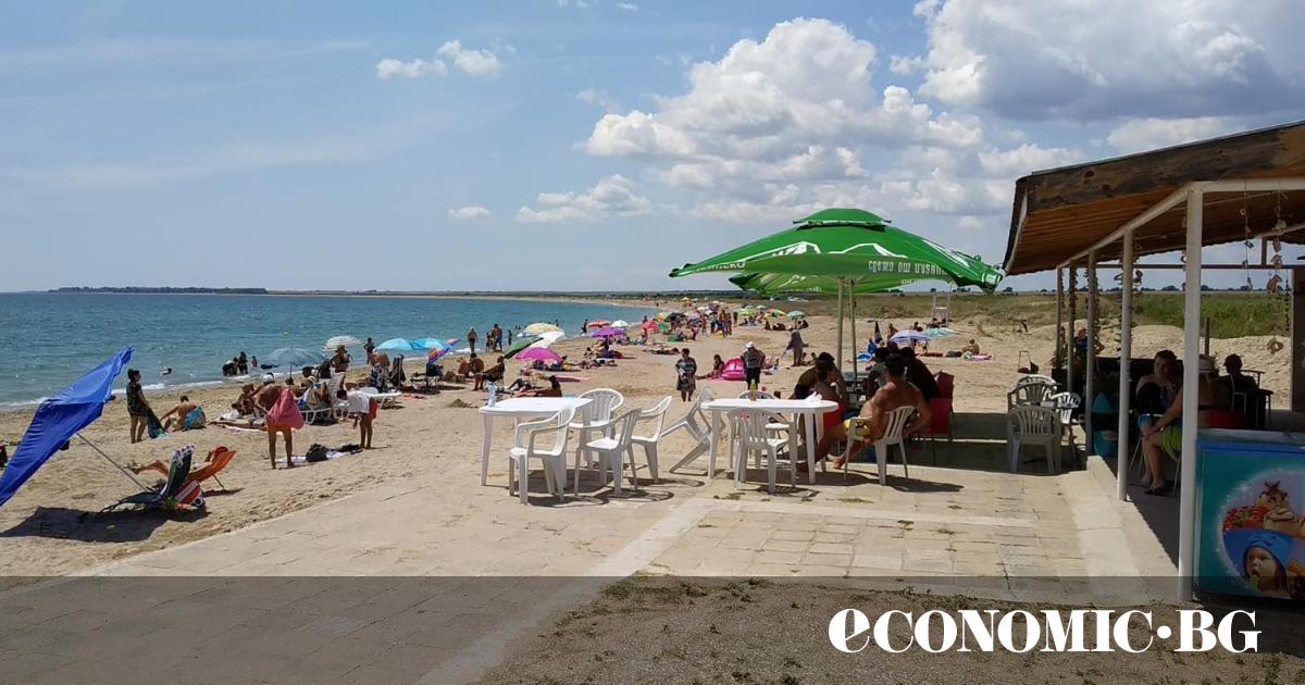 През последните 5 години (2019 – 2024 г.) броят на