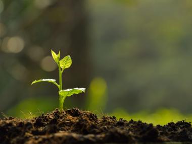 The Balkan Carbon Credit Registry: What it is and why it matters