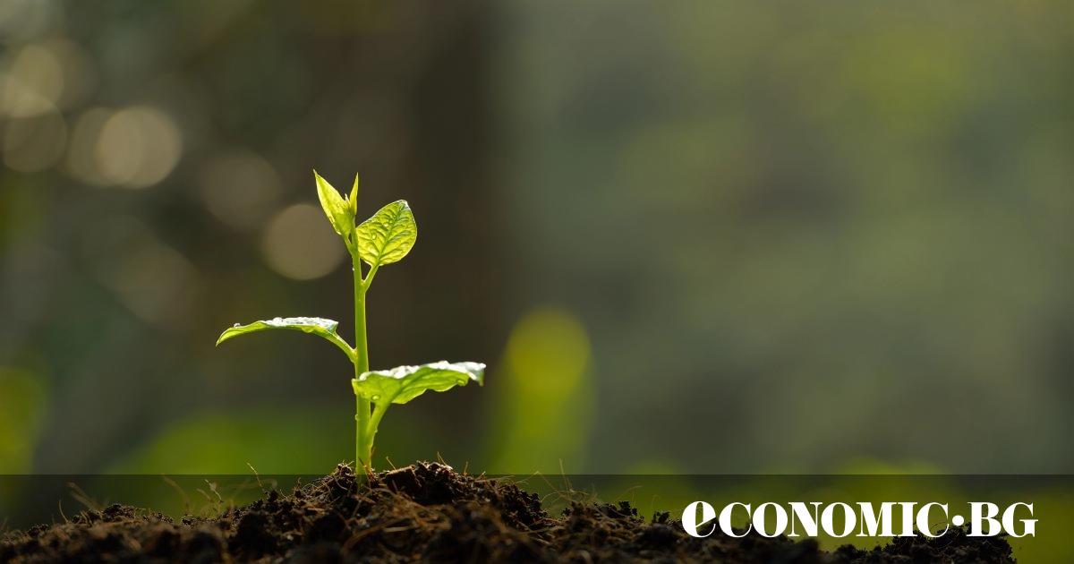 As the world intensifies its search for solutions to climate