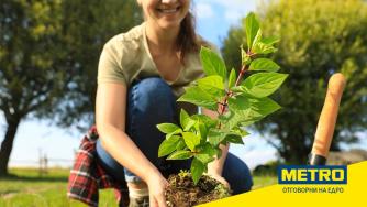 МЕТРО България дари 30 000 дървета на Гората.бг