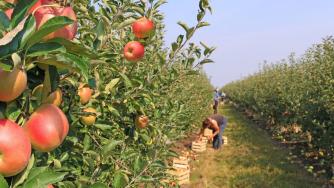 Atypical employment has become the norm in the Bulgarian economy