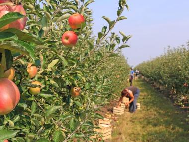 Atypical employment has become the norm in the Bulgarian economy
