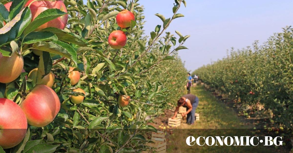 Атипичните форми на заетост (гъвкави, но по-малко сигурни) са често