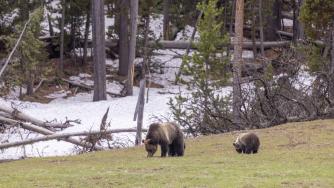 Денят на биоразнообразието не е просто дата – а призив за спасение на планетата