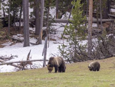 Денят на биоразнообразието не е просто дата – а призив за спасение на планетата