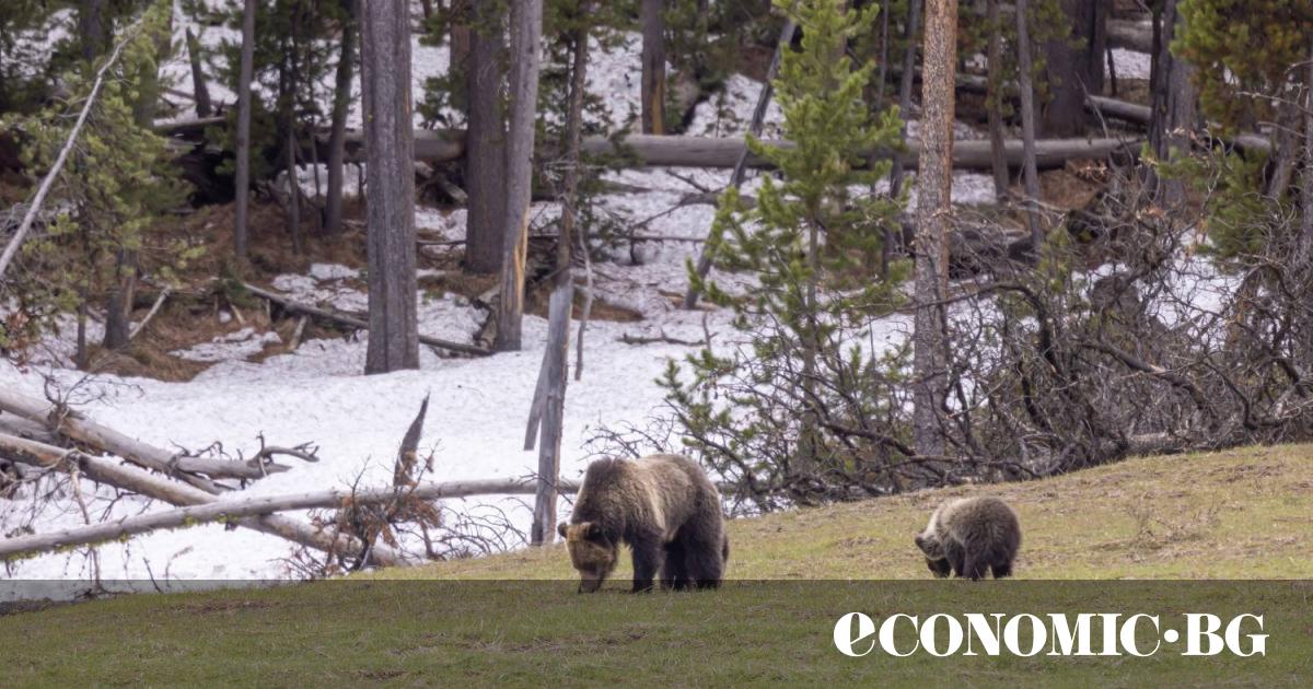 На 22 май светът отбелязва много повече от просто дата