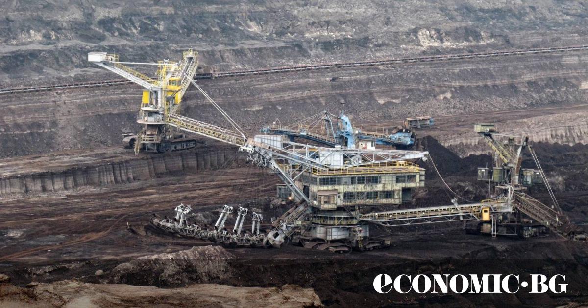 С близо 30% е намалял добивът на местните кафяви и