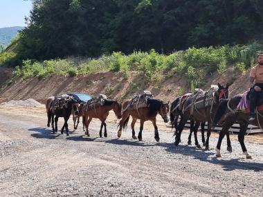 Първият лот на „Хемус“ ще бъде завършен, но не и пуснат за движение