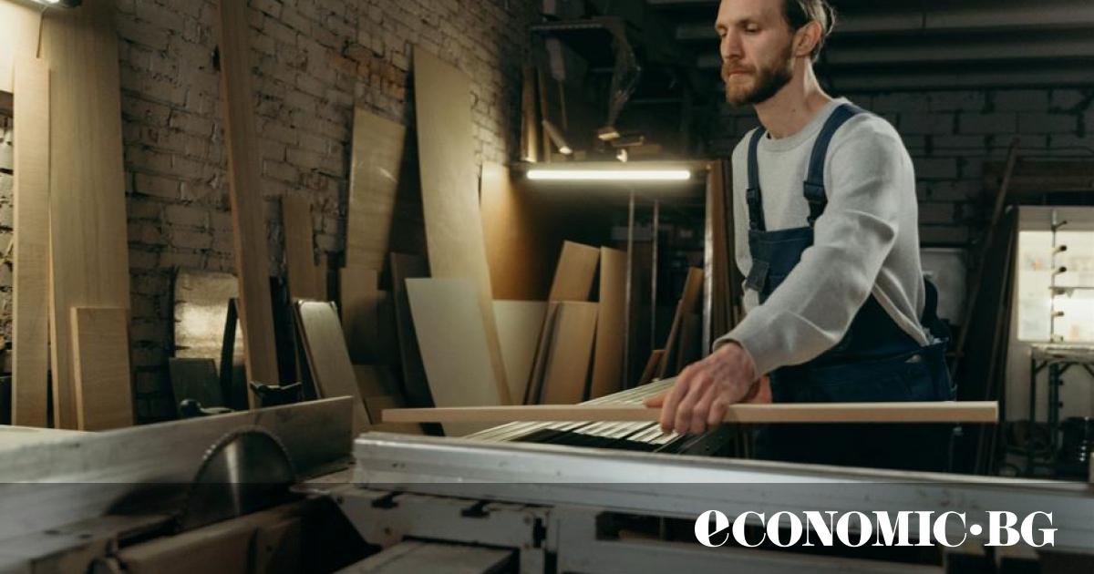 Има един бранш в България, в който фирмите и предприемачите