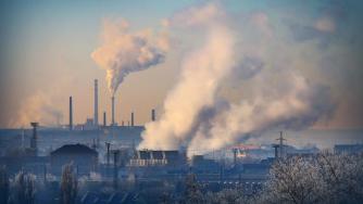 Fact-check | Обяви ли Полша края на Зелената сделка?