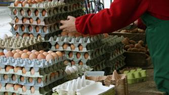 Цените в България са 60% от средноевропейските