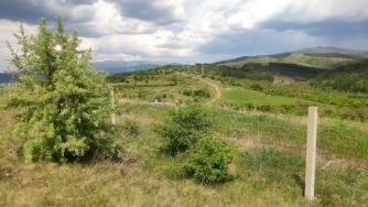 Дупница иска да изгради индустриална зона за чисти енергийни технологии