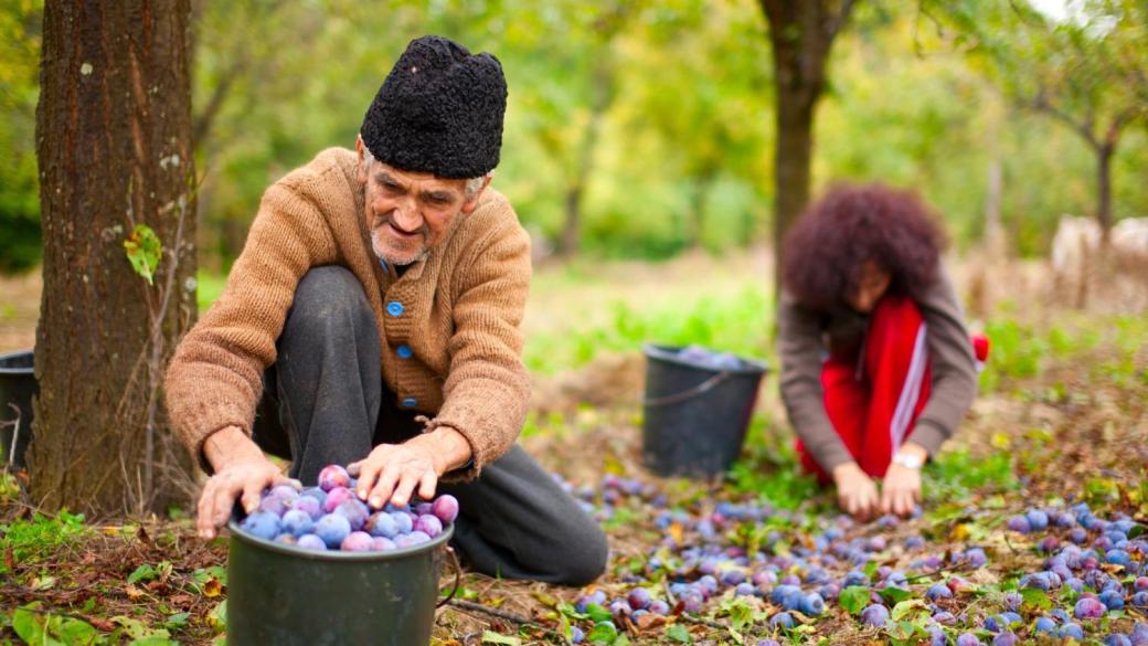 В България пенсионерите продължават да работят по финансови причини