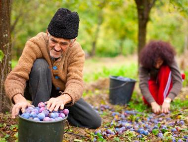 В България пенсионерите продължават да работят по финансови причини
