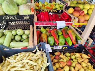 Вечерни новини: Неоткритият суровинен потенциал на България; Подобрение на бизнес климата