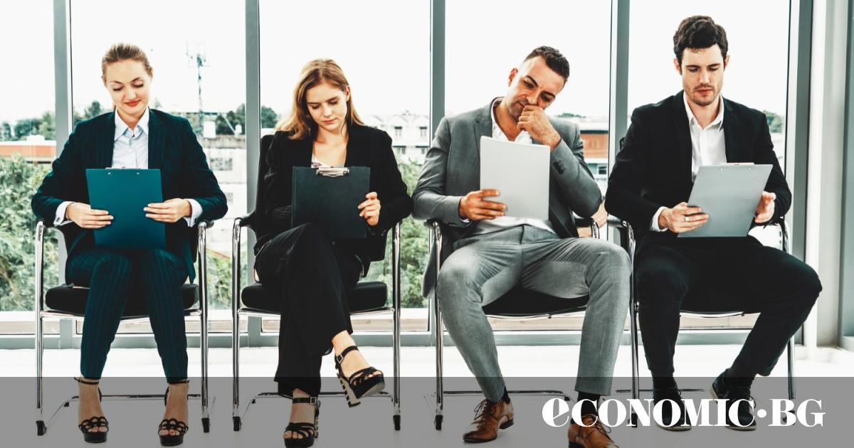 Чрез ежегодния национален план за действие по заетостта държавата провежда