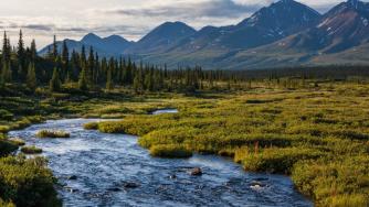 Защо Тръмп и Путин ще се срещнат точно в Аляска