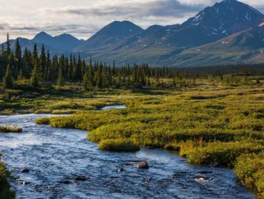 Защо Тръмп и Путин ще се срещнат точно в Аляска