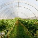 Agropolychim is waiting for the green light from the CPC for the deal with Ecofol