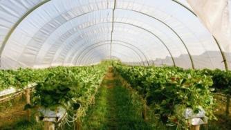 „Агрополихим“ чака зелена светлина от КЗК за сделката с „Екофол“