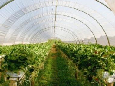 Agropolychim is waiting for the green light from the CPC for the deal with Ecofol