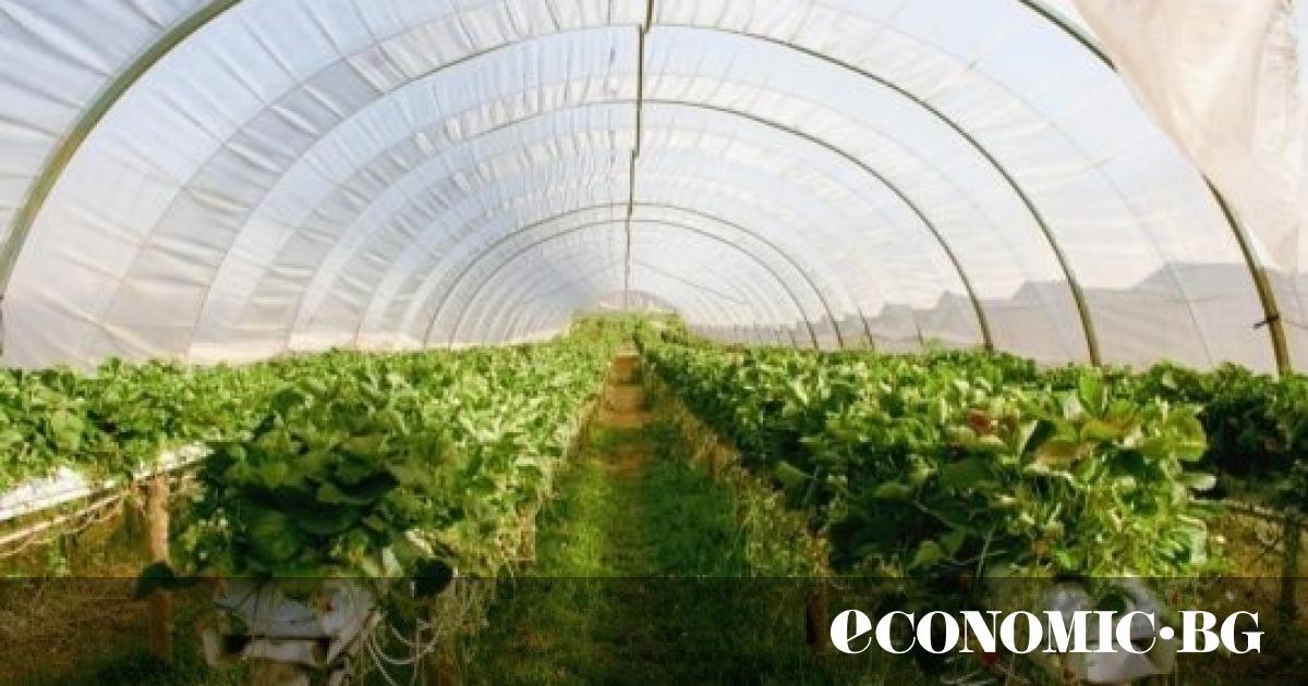 Един от водещите производители на минерални торове в България –