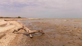 Каспийско море пресъхва бързо и застрашава петролната и газова индустрия