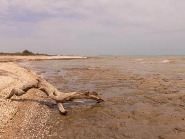 Каспийско море пресъхва бързо и застрашава петролната и газова индустрия
