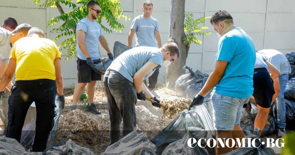 70 доброволци – стажанти и ментори от Лятната стажантска програма