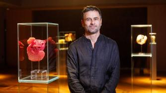 В съавторство с пчелите