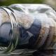 NSI “boosted” Bulgaria's economic growth