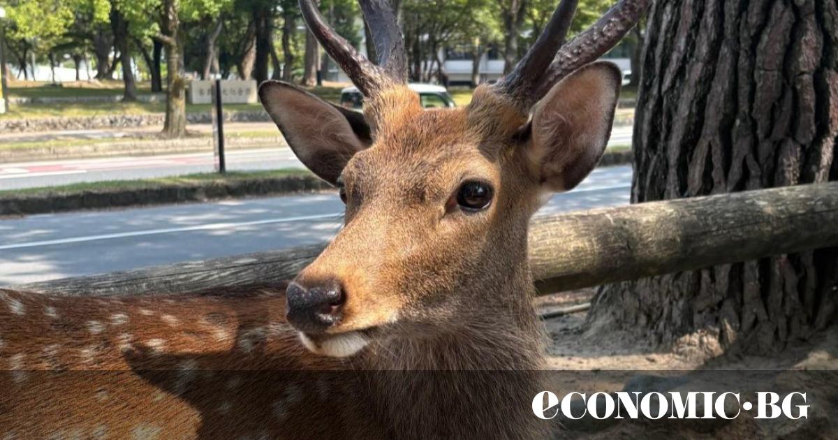 Часът е 14:13 ч. в нетолкова слънчев неделен ден. Седнала