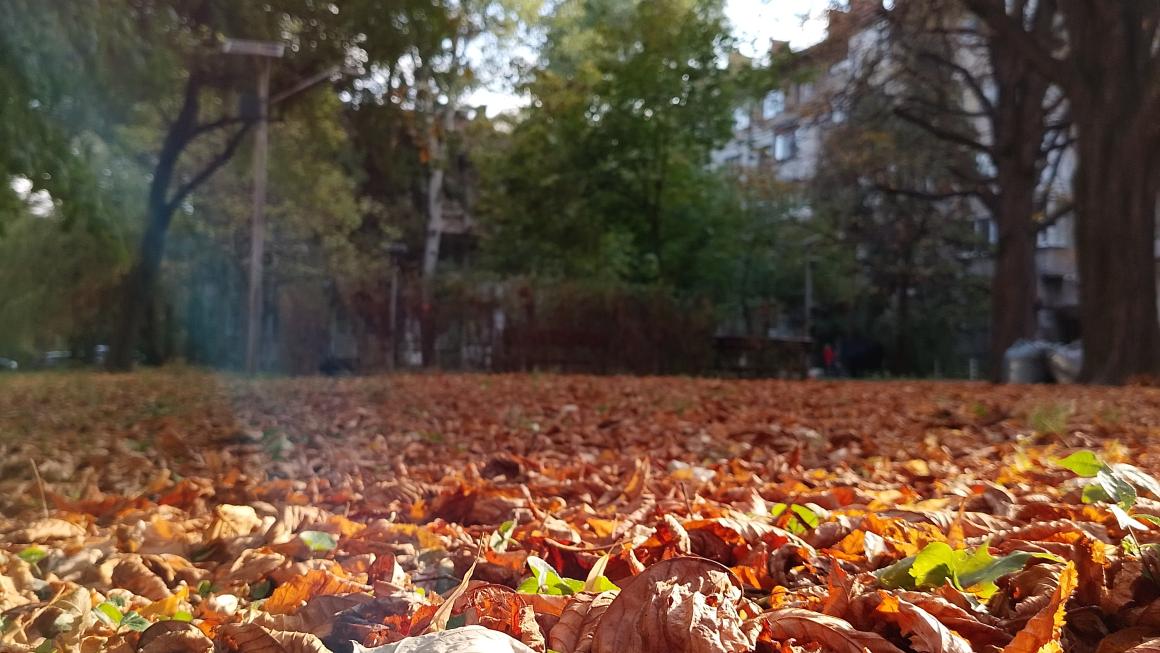 Галерия :: Снимка 0 :: Vivacom 5G Pro 2: Изкуственият интелект в джоба ти на достъпна цена}